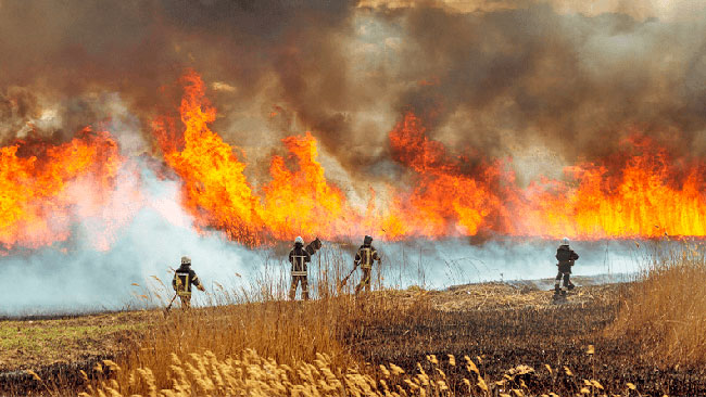 consecuencia de los incendios forestales en la atmósfera
