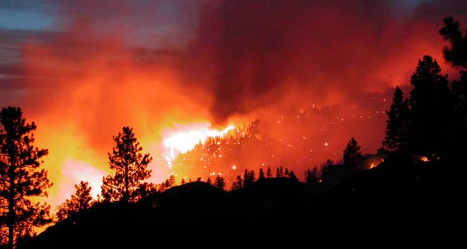 consecuencias de los incenios forestales 2