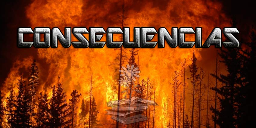 Consecuencias de los incendios forestales en el Medio Ambiente