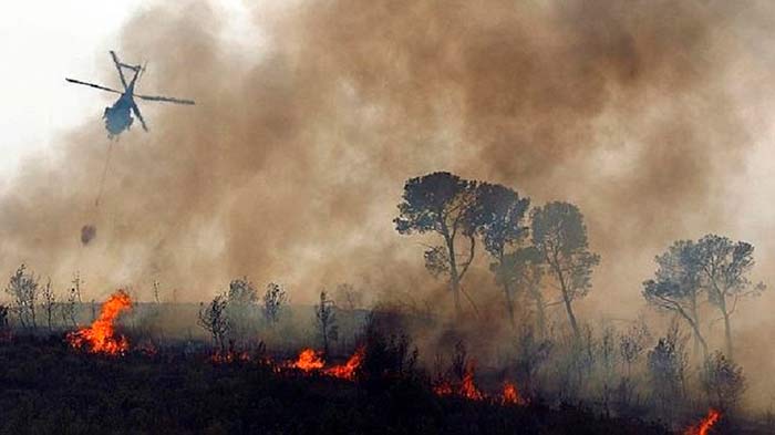 incendios forestales 1