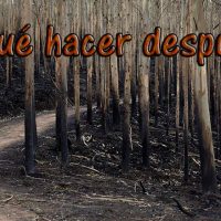 incendios forestales portada