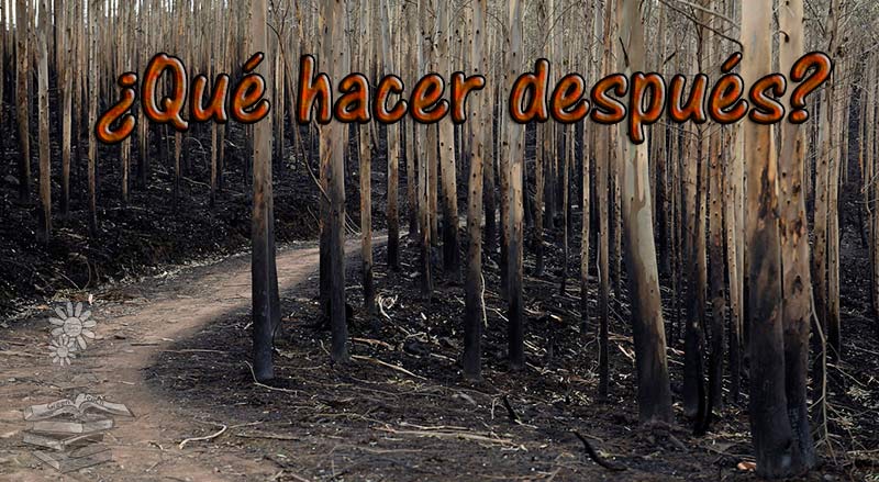 incendios forestales portada