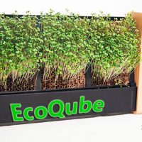 EcoQube Portada