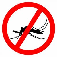 evitar malaria portada
