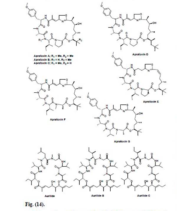 péptidos marinos Figura 14