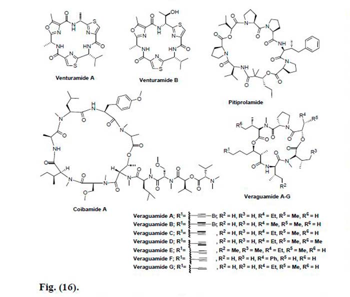 péptidos marinos Figura 16