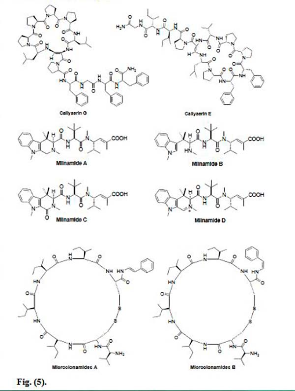 péptidos marinos Figura 5