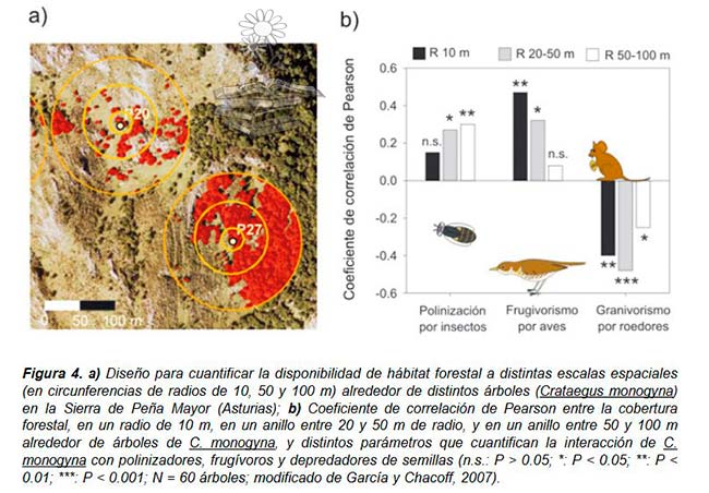 análisis fragmentación hábitat