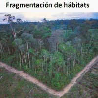 fragmentación de hábitats portada