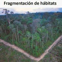 fragmentación de hábitats portada