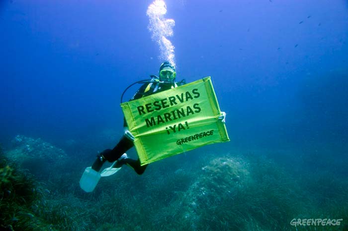 Santuarios Marinos cartel portada