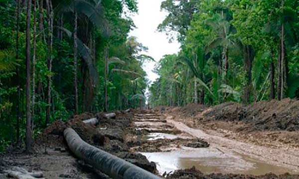 deforestación Amazonias