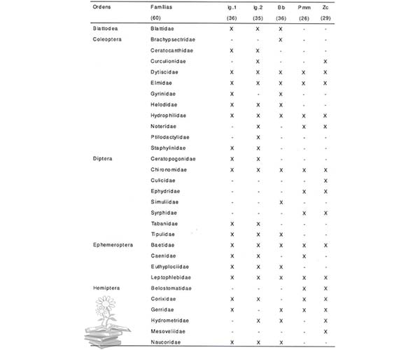 macroinvertebrados muestreo río Igarapé