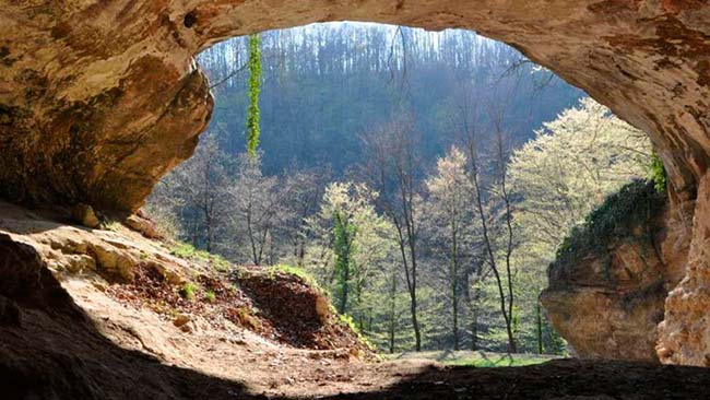 Cueva del Sidrón