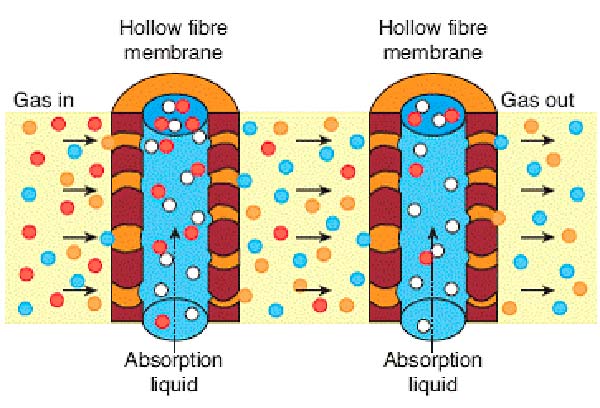 funcionamiento membrana