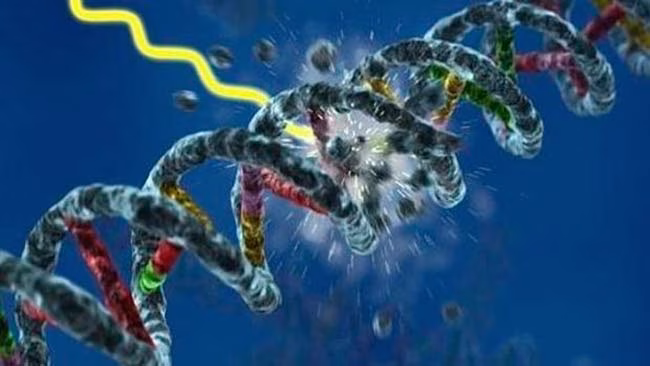 la vida surgió por casualidad Portada