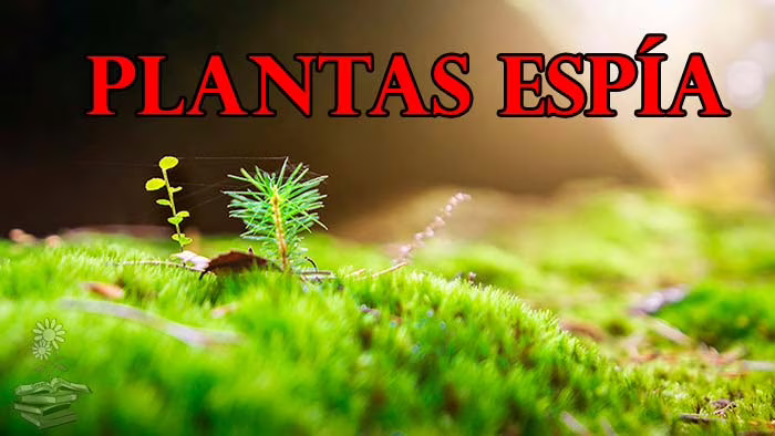 Plantas espía portada