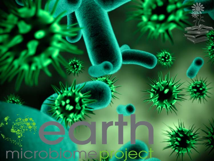The Earth Microbiome Project Portada