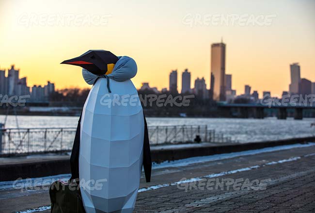 marcha de los pingüinos Greenpeace