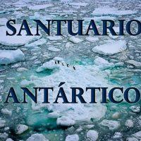 Santuario Antártico Portada
