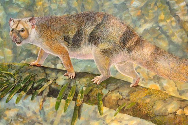 león marsupial