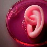 orejas con impresora 3D portada