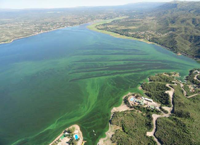 eutrofización de los Grandes Lagos