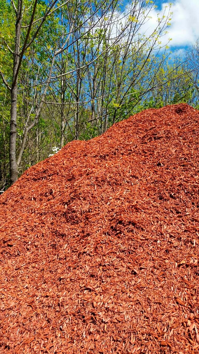 mulch