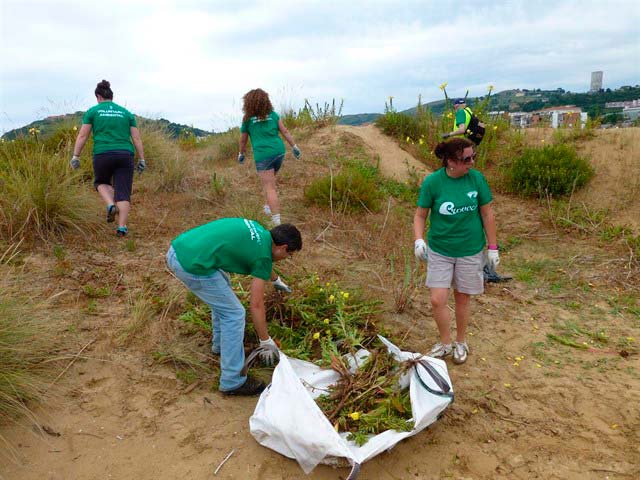 eliminación plantas invasoras