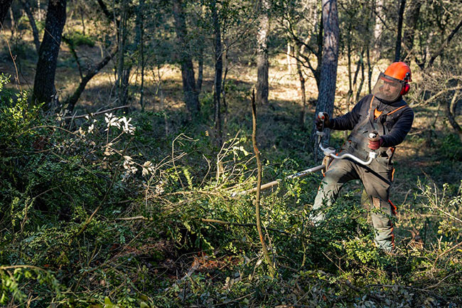 medidas de prevención de incendios forestales