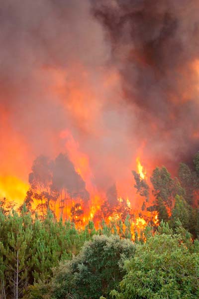 incendio de Portugal