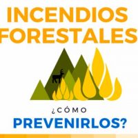 prevención de incendios forestales