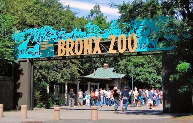 Zoo de Bronx