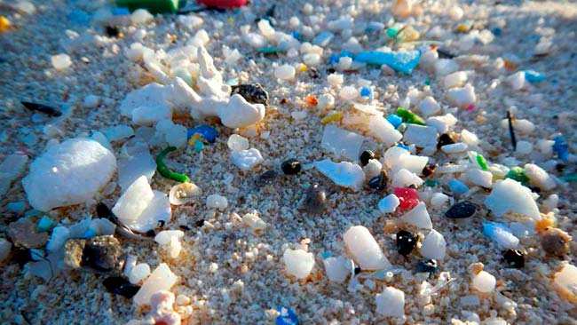 contaminacion microplasticos medio Ambiente