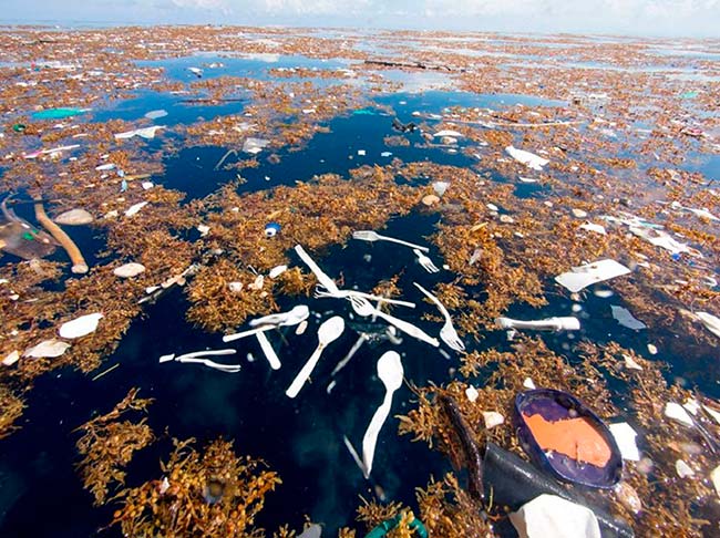 contaminacion marina