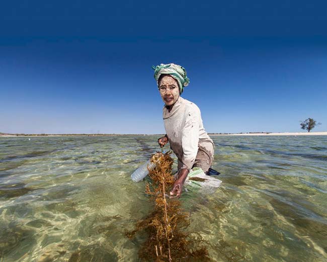 contaminación marina redes de pesca