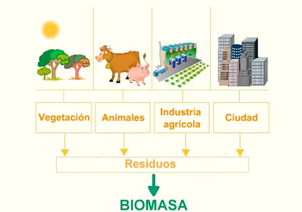 esquema biomasa energia renovable