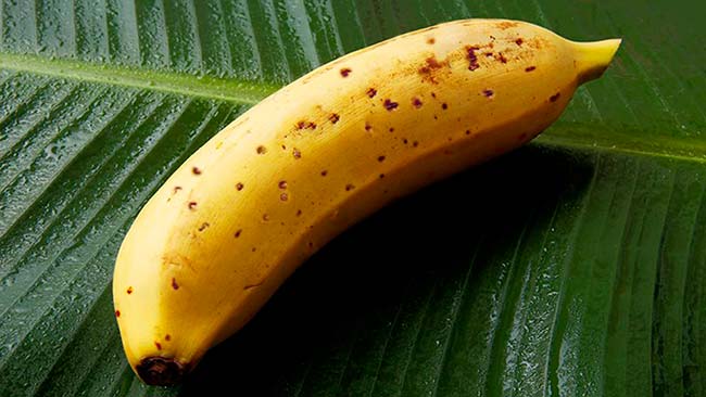 platano Mongee piel comestible