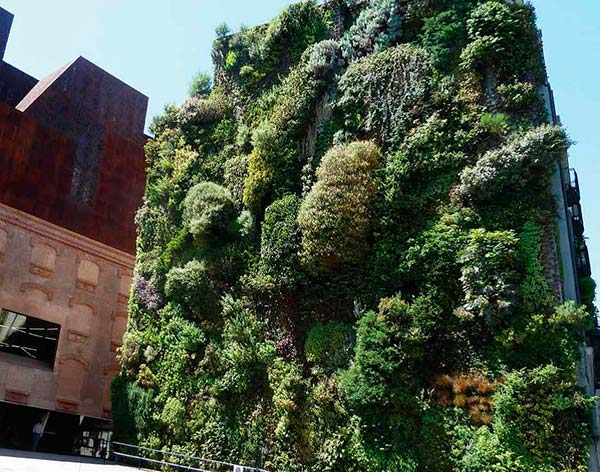 jardin vertical en Madrid