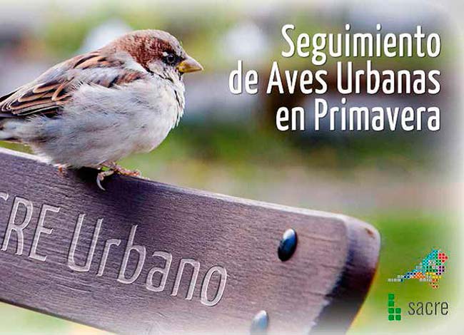 seguimiento de aves como indicador de biodiversidad