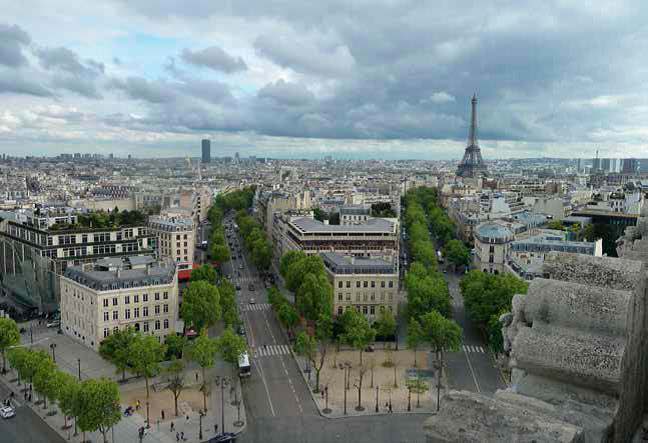 Paris sin diversidad arborea