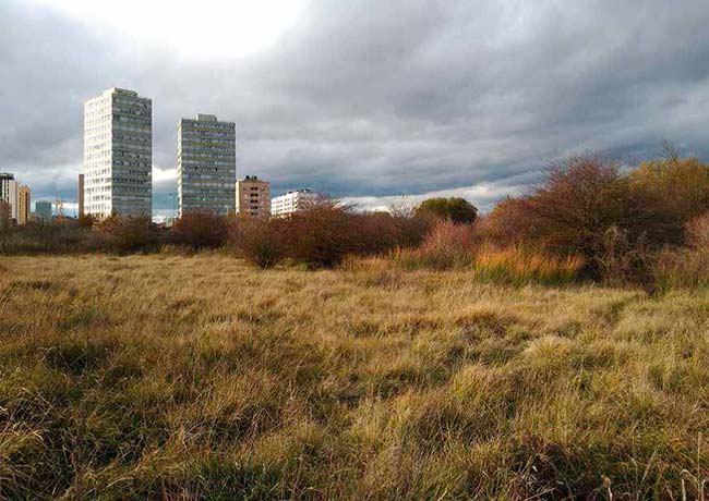 medidas para la conservacion de la biodiversidad en ciudades