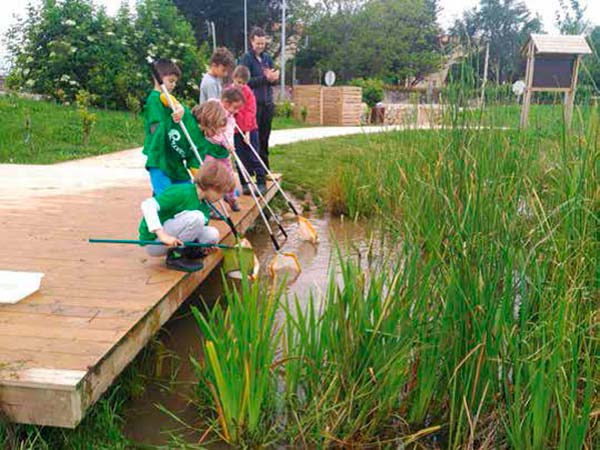 naturalizar las aulas deEducacion Ambiental