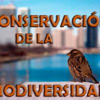 medidas para la conservacion de la biodiversidad