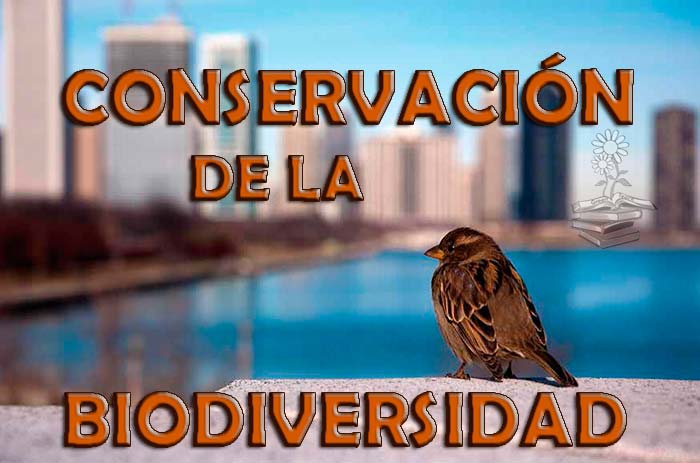 medidas para la conservacion de la biodiversidad