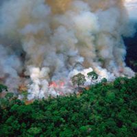 incendios del Amazonas Portada