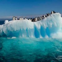 aumento de la temperatura en los oceanos Portada