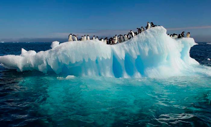 aumento de la temperatura en los oceanos Portada