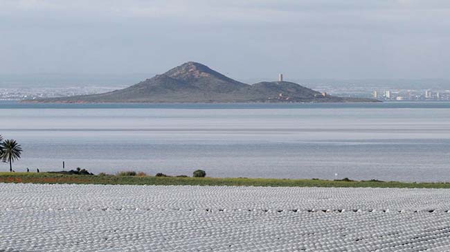 Mar menor la manga