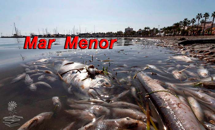 Mar Menor portada